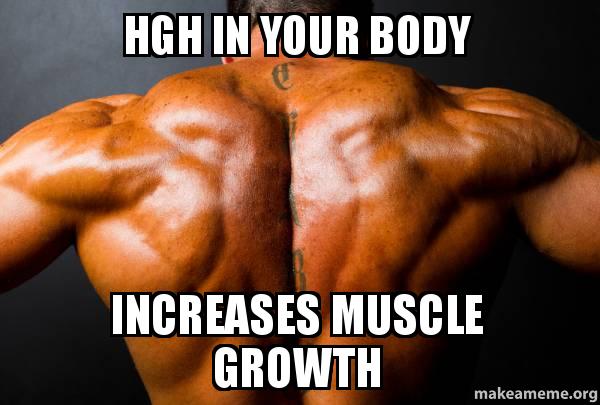 Penis Growth Hormones 18