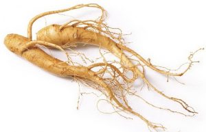 panax-ginseng-testosterone-nitric-oxide-and-erection-benefits