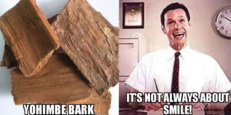 yohimbe-bark